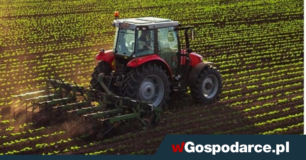 Wystartowały opłaty dobrostanowe dla rolników