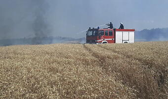 Rosjanie wywołują pożary na polach zboża
