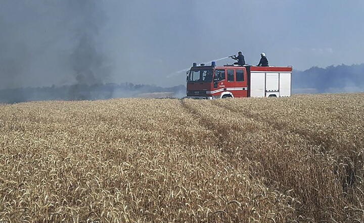 Pożar na ukraińskich polach / autor: PAP/EPA