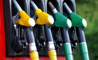 Analitycy: Po interwencji rządu skokowe spadki cen paliw