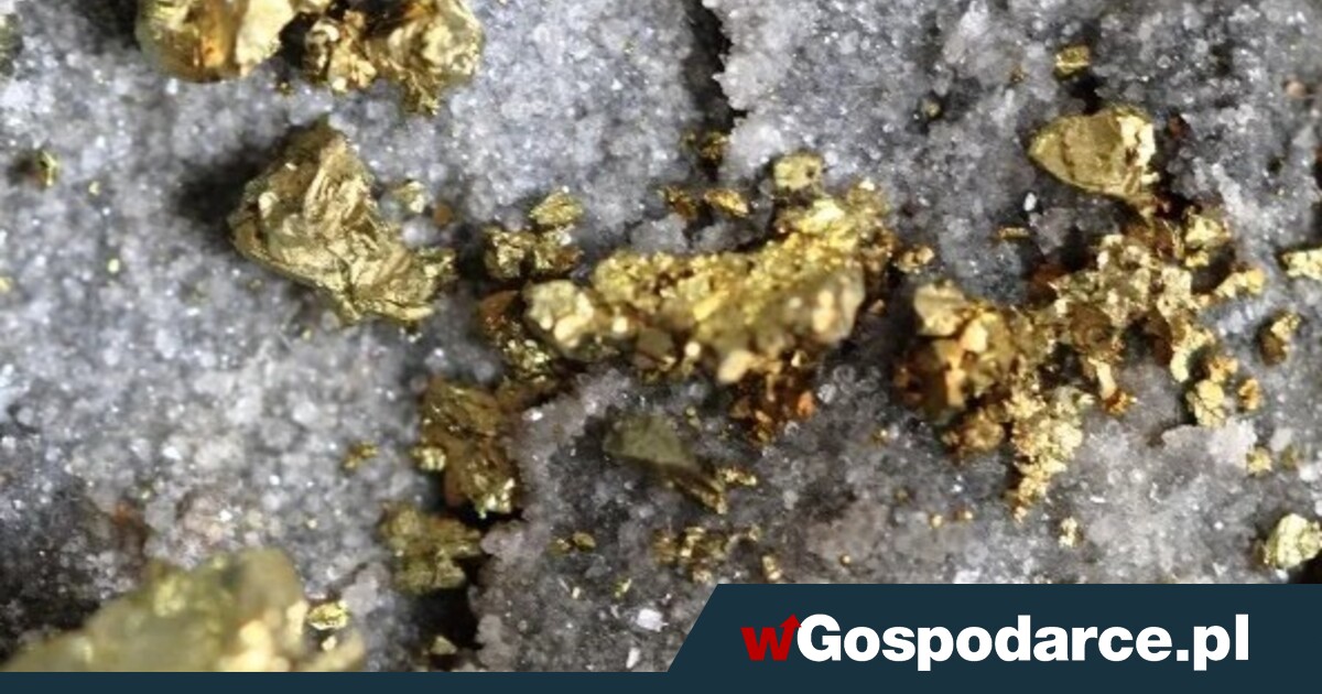 11 metric tons of gold just a fewer  kilometers from Poland!