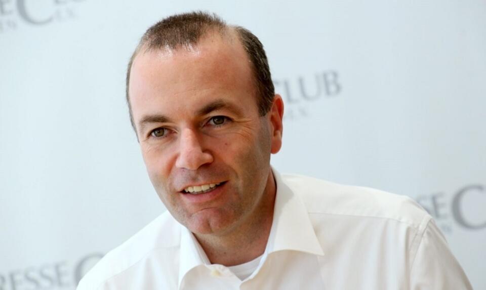 Manfred Weber / autor: Michael Lucan/commons.wikimedia.org/CC 3.0