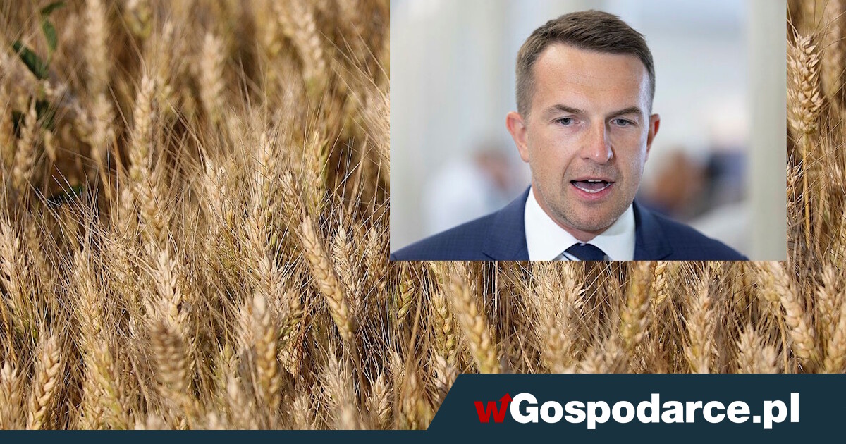 Pellet po 4,5 tys. zł. Rolnicy: "Palić zbożem", rząd odpowiada