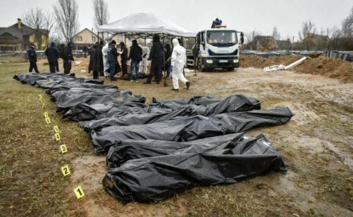 Reżyser: ludobójstwo ma miejsce w Ukrainie na naszych oczach