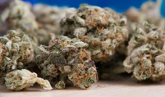 Kolejna brutalna, narkotykowa zbrodnia w Meksyku