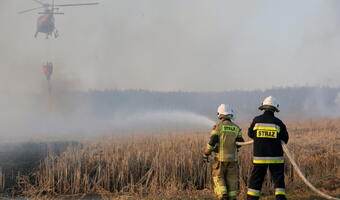 Szwedzi gotowi pomóc gasić pożar w Dolinie Biebrzy