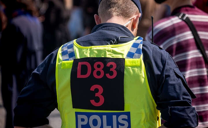Śledztwo w sprawie śmierci Polaka prowadzi szwedzka policja. Zdjęcie ilustracyjne / autor: Pixabay