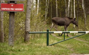 PGE kontynuuje współpracę z Kampinoskim Parkiem Narodowym