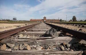 Auschwitz - Birkenau / autor: Fratria