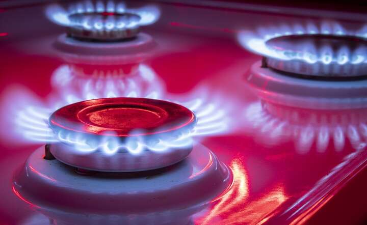 Towarowa Giełda Energii wprowadziła w czwartek nowe instrumenty na giełdowym rynku gazu / autor: Fratria / Andrzej Wiktor