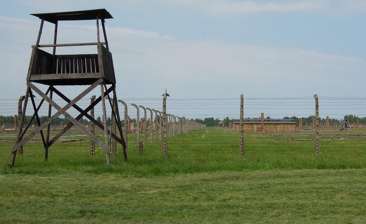 W Mauthausen-Gusen zginęło 30 tys. Polaków / autor: Pixabay