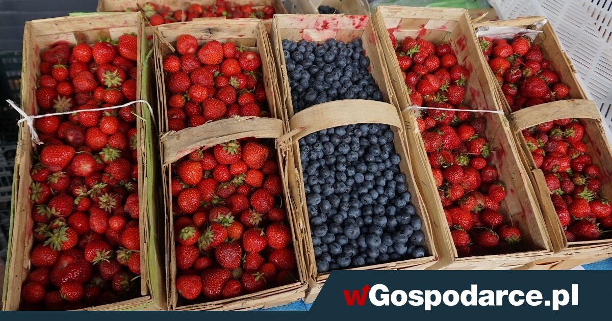 Legalna sezonowa sprzedaż owoców. Jak to robić?