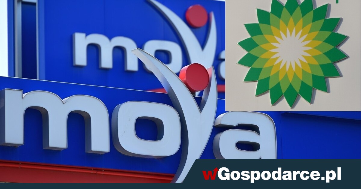 Polska Moya depcze koncernowi bp po piętach