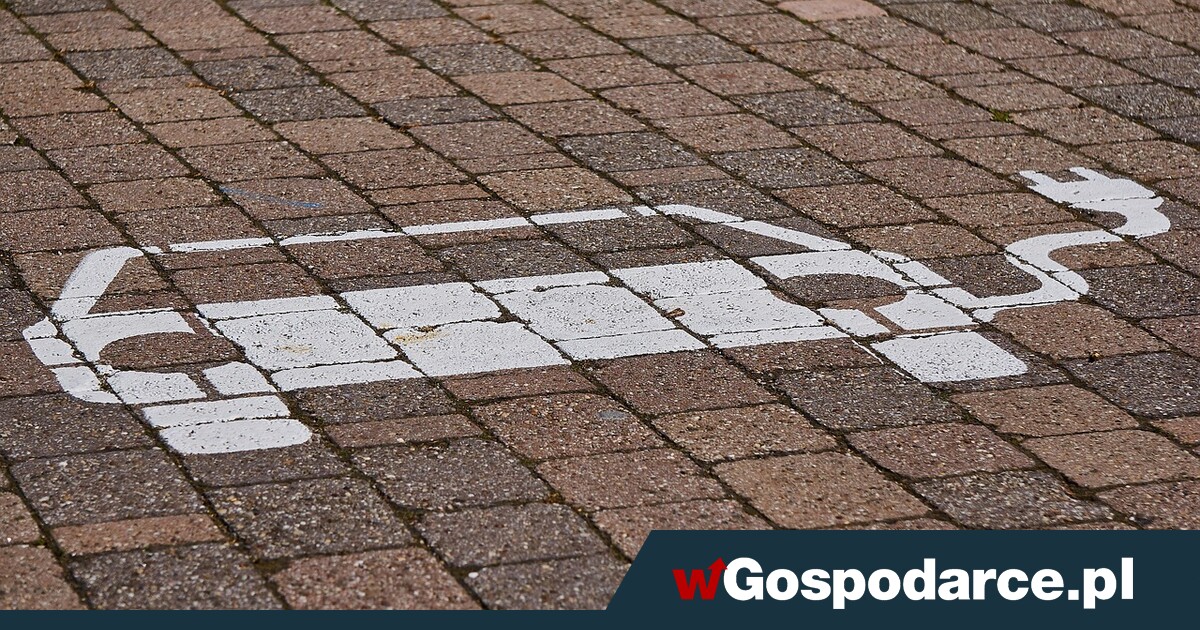 „NaszEauto” choć bez budżetu, to pojedzie dalej