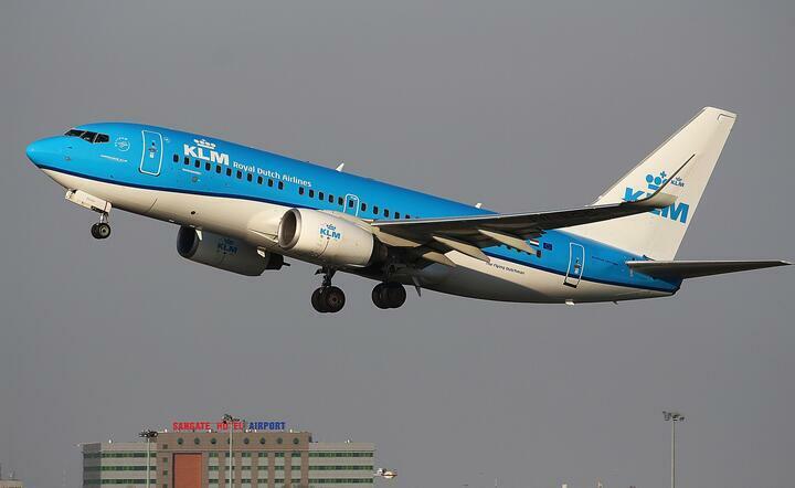 holdenderskie linie lotnicze KLM / autor: Pixabay