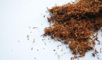 Podwyżka akcyzy na tytoń zwiększy szarą strefę