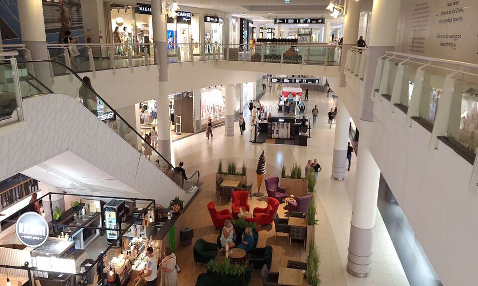 autor: Fratria/Liumyla Skwarczyńska