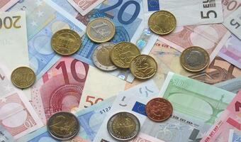 Bank centralny Węgier: Chcemy bezpiecznie wprowadzić euro
