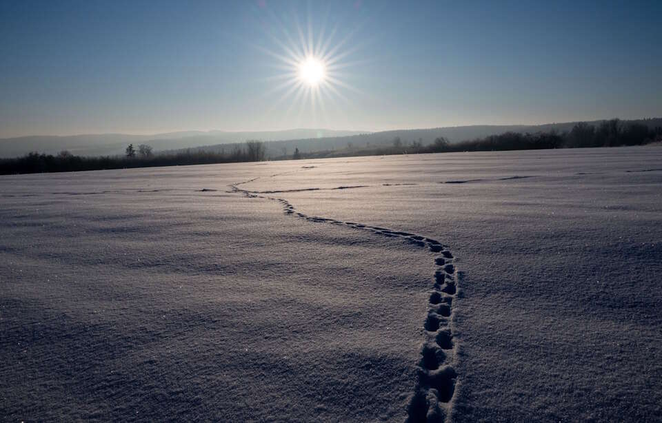 Jaka czeka nas pogoda? / autor: PAP/Darek Delmanowicz