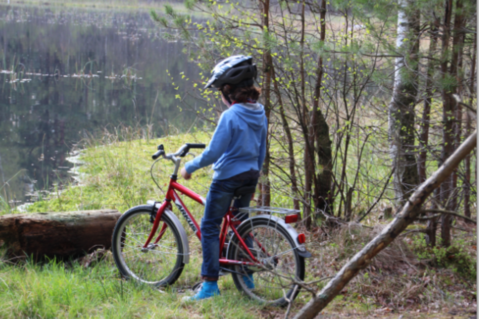 Fot. wPolityce.pl/Gił