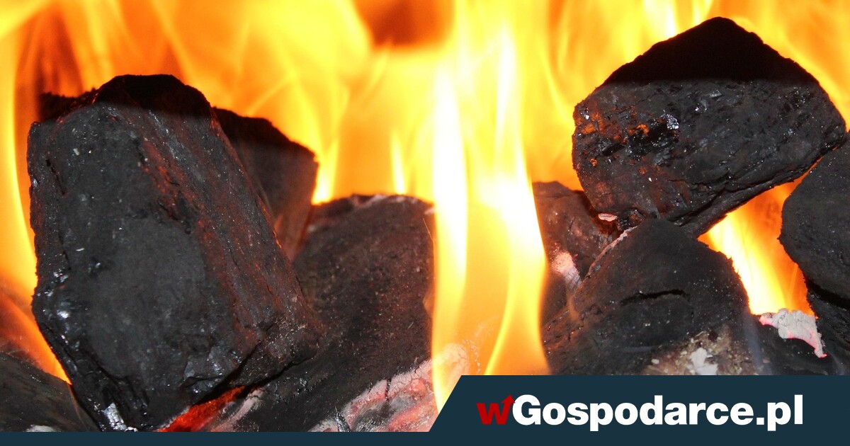 Kopalnia biła rekordy zysku. Ekoszaleństwo? Wyjechał ostatni wagonik