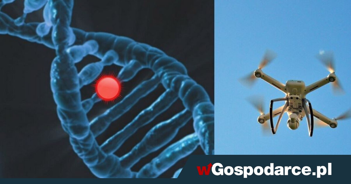 Drony i synbio. Jak wskoczyć do tych pociągów hi-tech?