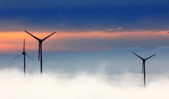Obajtek: Orlen chce rozbudować portfel energetyki wiatrowej