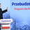 PiS na wybory ma „Przebudzenie. Program dla Polski”