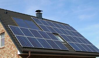 PGE Obrót doceni użytkowników paneli słonecznych