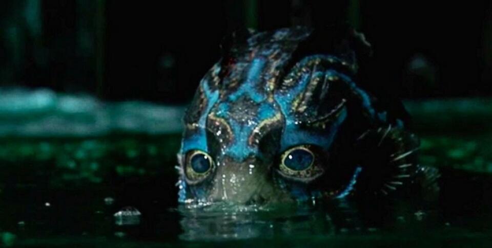 "The Shape of water"