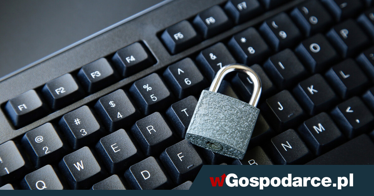 Ochrona danych w internecie – co warto wiedzieć?