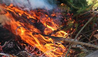 W lesie uważaj: Zagrożenie pożarowe!