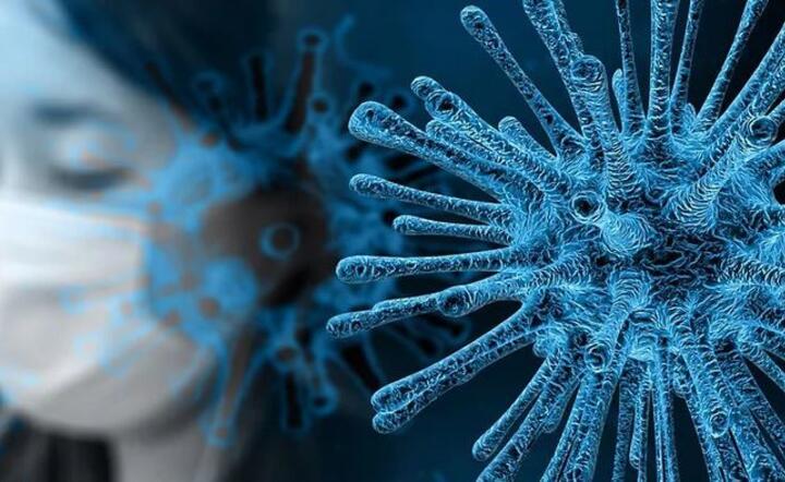 USA wiedziały o koronawirusie już 8 lat temu?