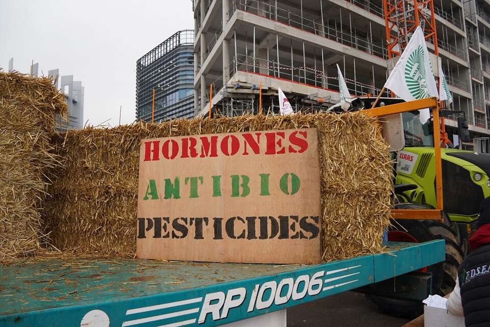"Hormony, antybiotyki, pestycydy" - plakat podczas protestu rolników przed Parlamentem Europejskim w Strasburgu  przeciwko umowie z krajami Mercosur / autor: Fratria