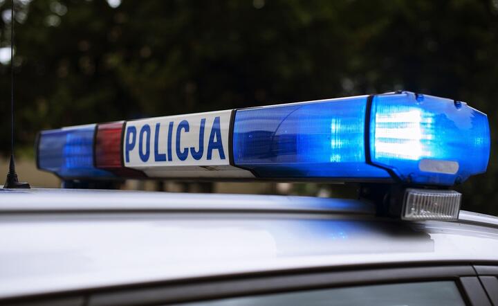 Policja ponownie ostrzega przed oszustami / autor: pixabay.com