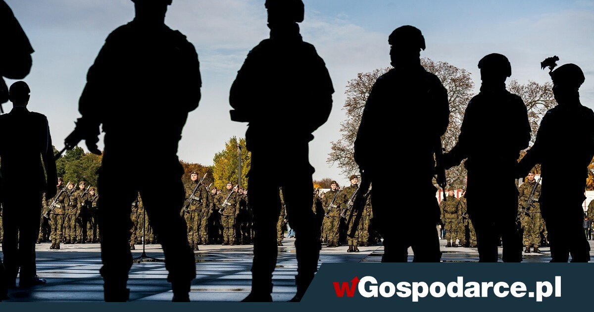 Ruszyła kwalifikacja wojskowa. 230 tys. osób „pod broń”