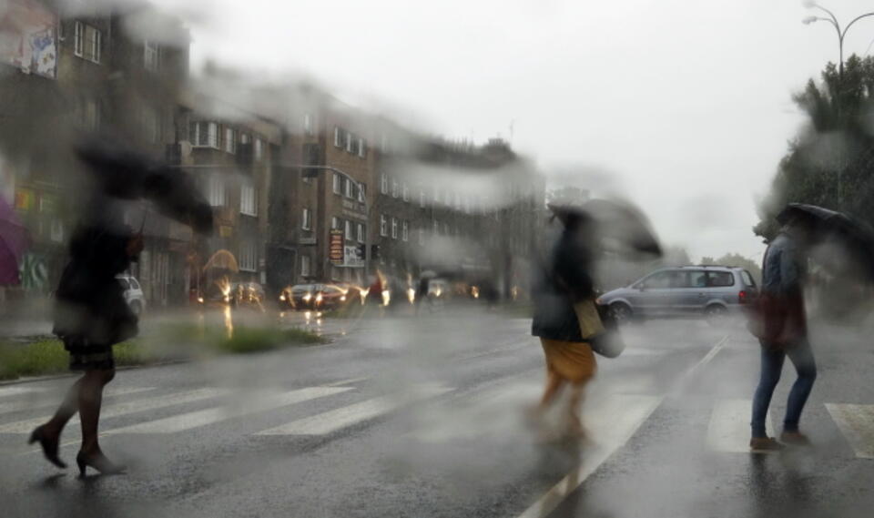 Fot PAP/Andrzej Grygiel