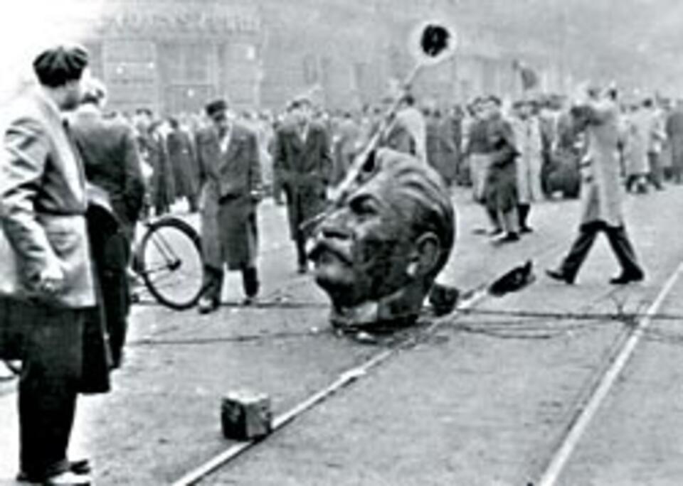 fot. wikimedia commons 