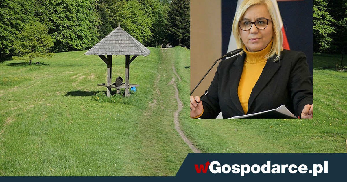 Aż 43,7 mln strat finansowych Parków Narodowych. "Nie ma na wynagrodzenia"