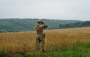 Zdjęcie ilustracyjne / autor: Fratria