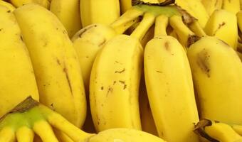 Banan GMO na problem niedożywienia dzieci