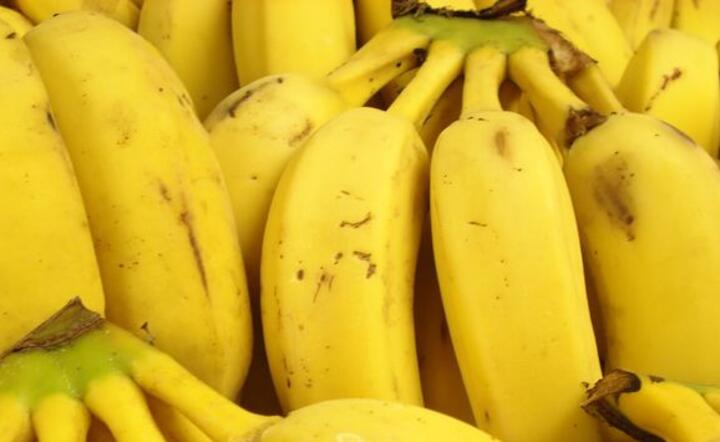Banan GMO na problem niedożywienia dzieci