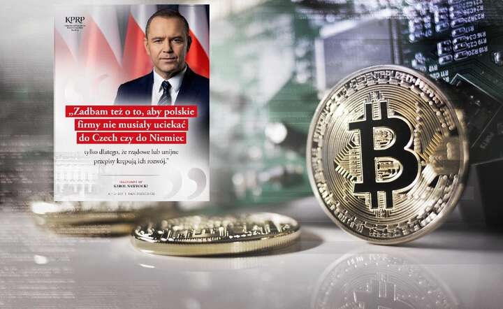 Zaproponowane przepisy zagrażają wolnościom Polaków, ich majątkowi i stabilności państwa - uzasadnił weto prezydent Karol Nawrocki / autor: Pixabay