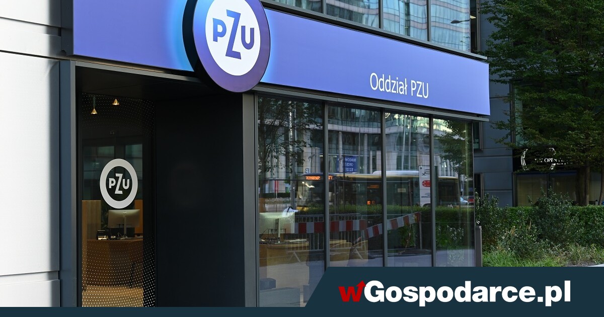 Grupa PZU: asystent AI dla wszystkich pracowników