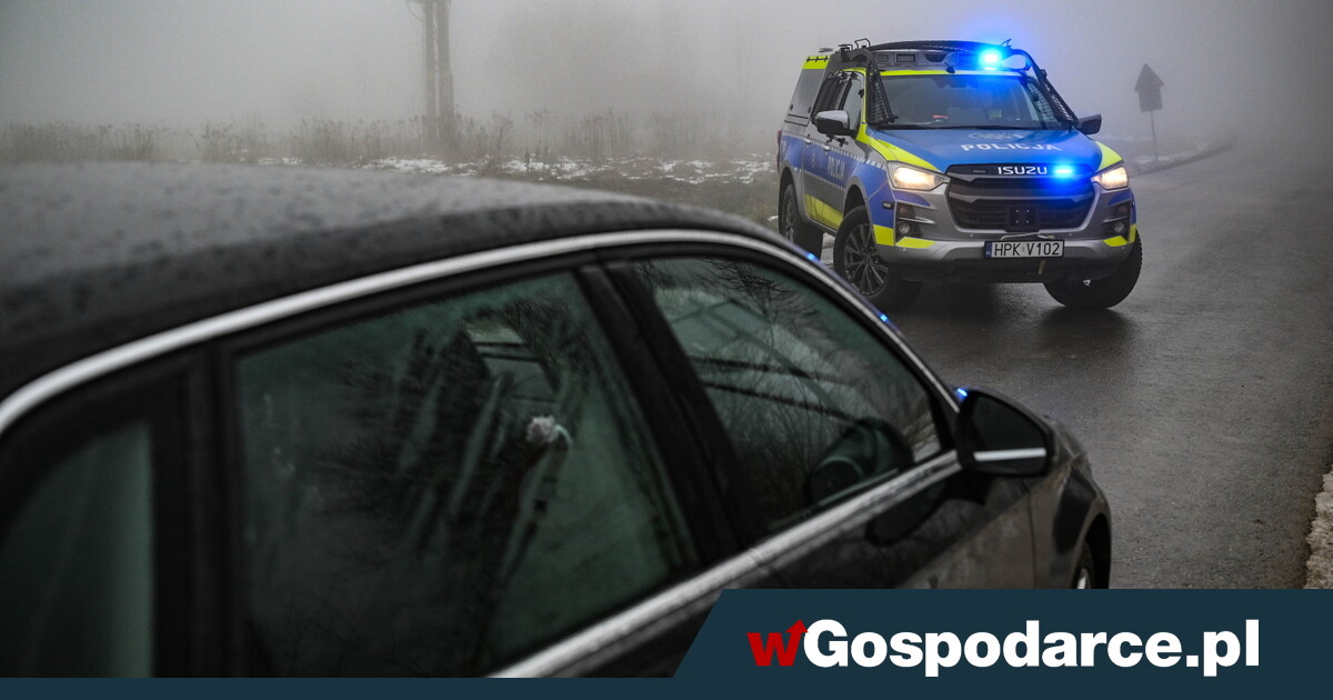 Lotniczy wypadek biznesmenów. Zawiniła pogoda?