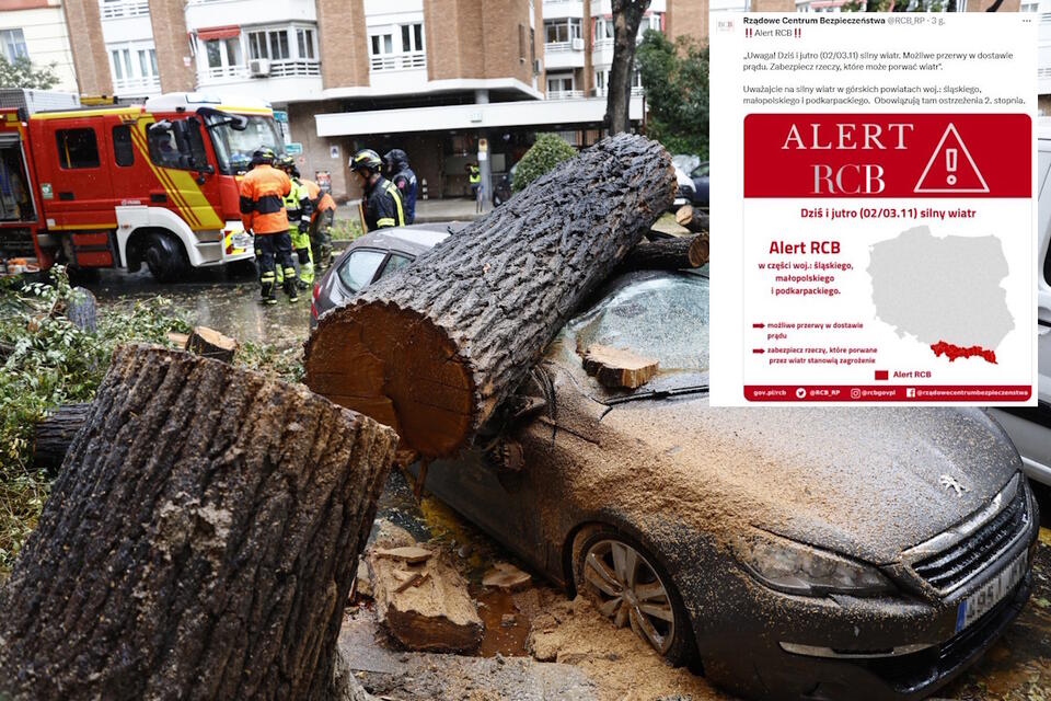 Samochód zmiażdżony przez kłodę w wyniku silnego wiatru wywołanego przez burzę „Ciaran” w Madrycie, środkowa Hiszpania / autor: PAP/EPA/RODRIGO JIMENEZ