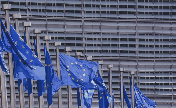 Flagi UE - zdjęcie ilustracyjne. / autor: Pixabay