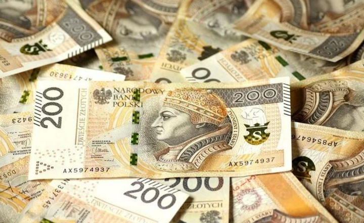 Pieniądze - zdjęcie ilustarcyjne  / autor: Pixabay