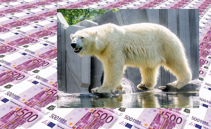 Cały aktywizm klimatyczny bazuje na zarządzaniu strachem i odbieraniu ludziom wolności na rzecz złudnego poczucia bezpieczeństwa / autor: Pixabay