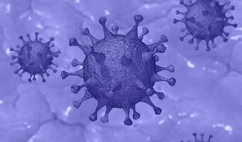 GiS przedstawia nowe dane o wirusie